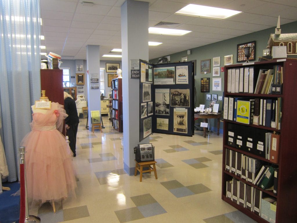 Museum Collections and Displays